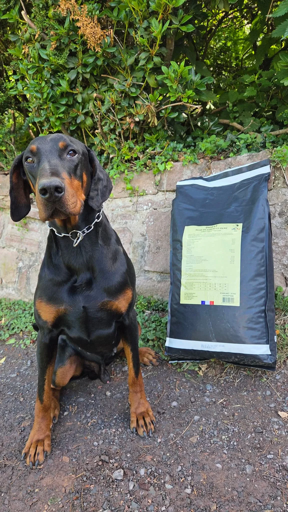 Agneau-Riz Dobermann