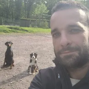 Cours collectifs d'éducation canine avec plusieurs chiens en forêt